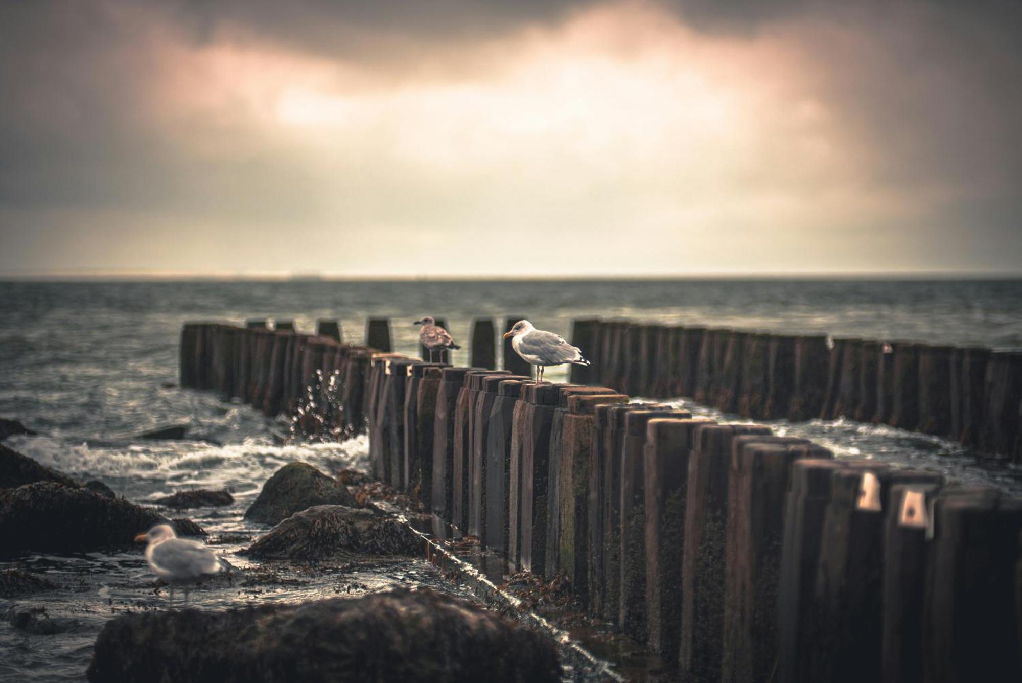 Beachfront Boutiquehotel Hotel Vlissingen